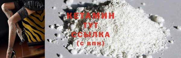 прущие крисы Абаза