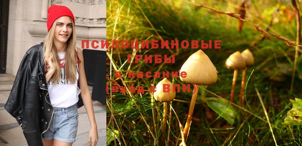 шишки Абдулино
