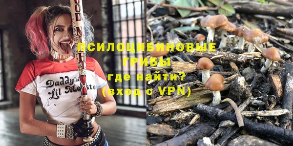 шишки Абдулино