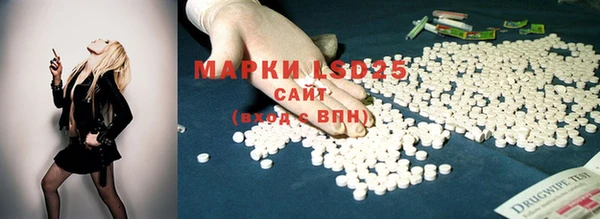 прущие крисы Абаза