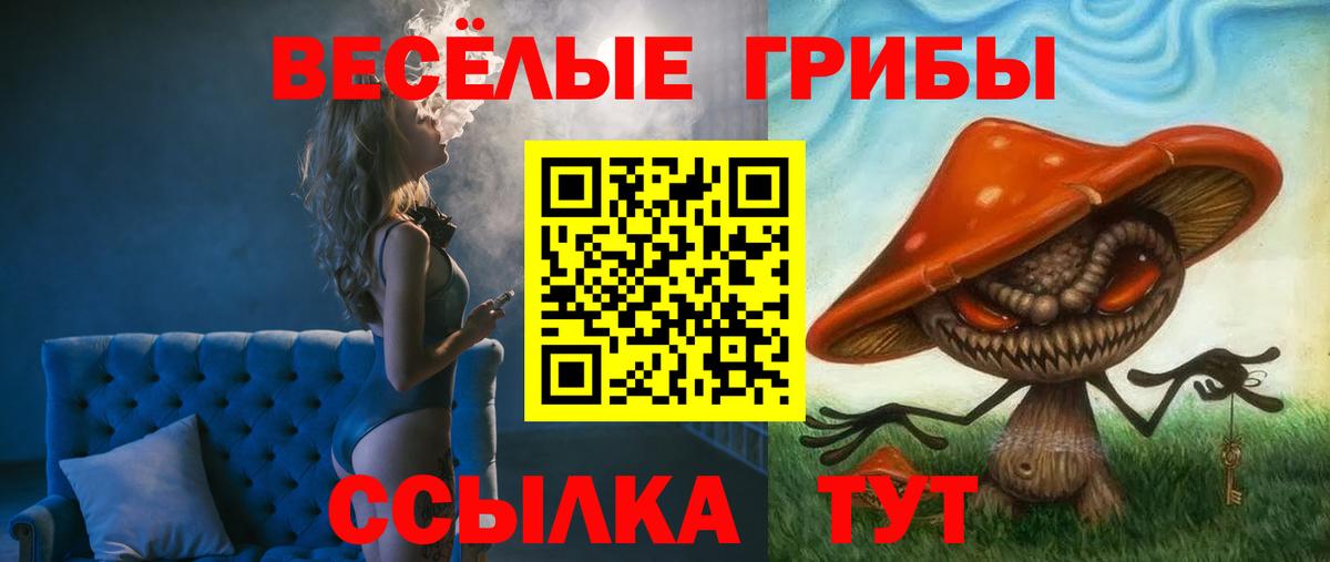 Кумертау  Псилоцибиновые грибы GOLDEN TEACHER  Вход с VPN 