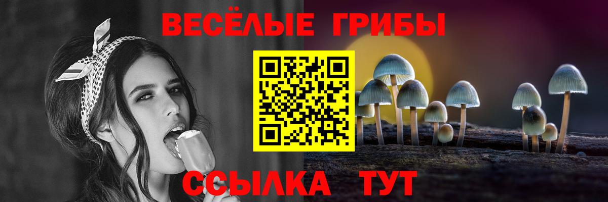 Галлюциногенные грибы Psilocybine cubensis Кумертау